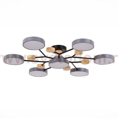 Светильник потолочный St luce SLE6006-702-07 FAEMA