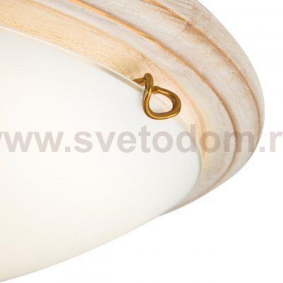 Светильник настенно-потолочный Sonex 7605/DL Border