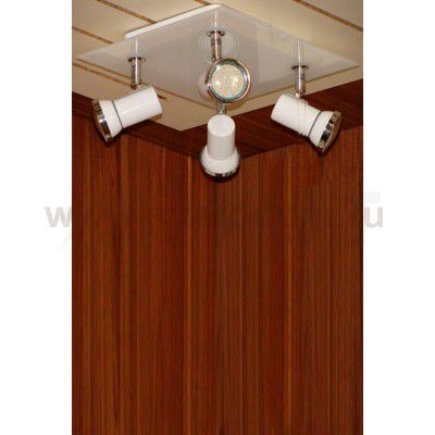 Светильник поворотный спот Eglo 31264 TAMARA 1