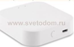 WI-FI конвертер для трековой системы  SKYLINE 220 St luce ST015.500.97 SKYLINE 220