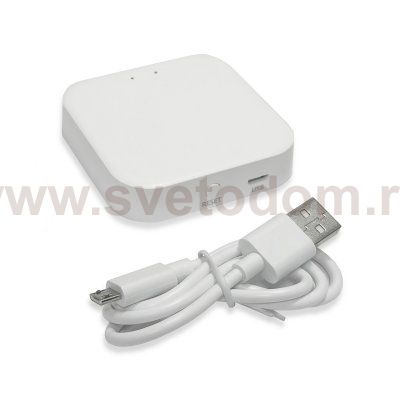 ST015.500.97.1 Wi-Fi+2,4G конвертер AROUND Белый AROUND