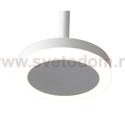 Светильник подвесной St luce ST104.503.06 CIAMELLA