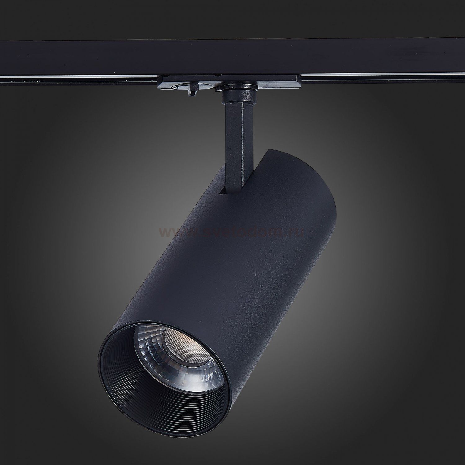 Трековый светильник St luce ST350.436.20.36 MONO