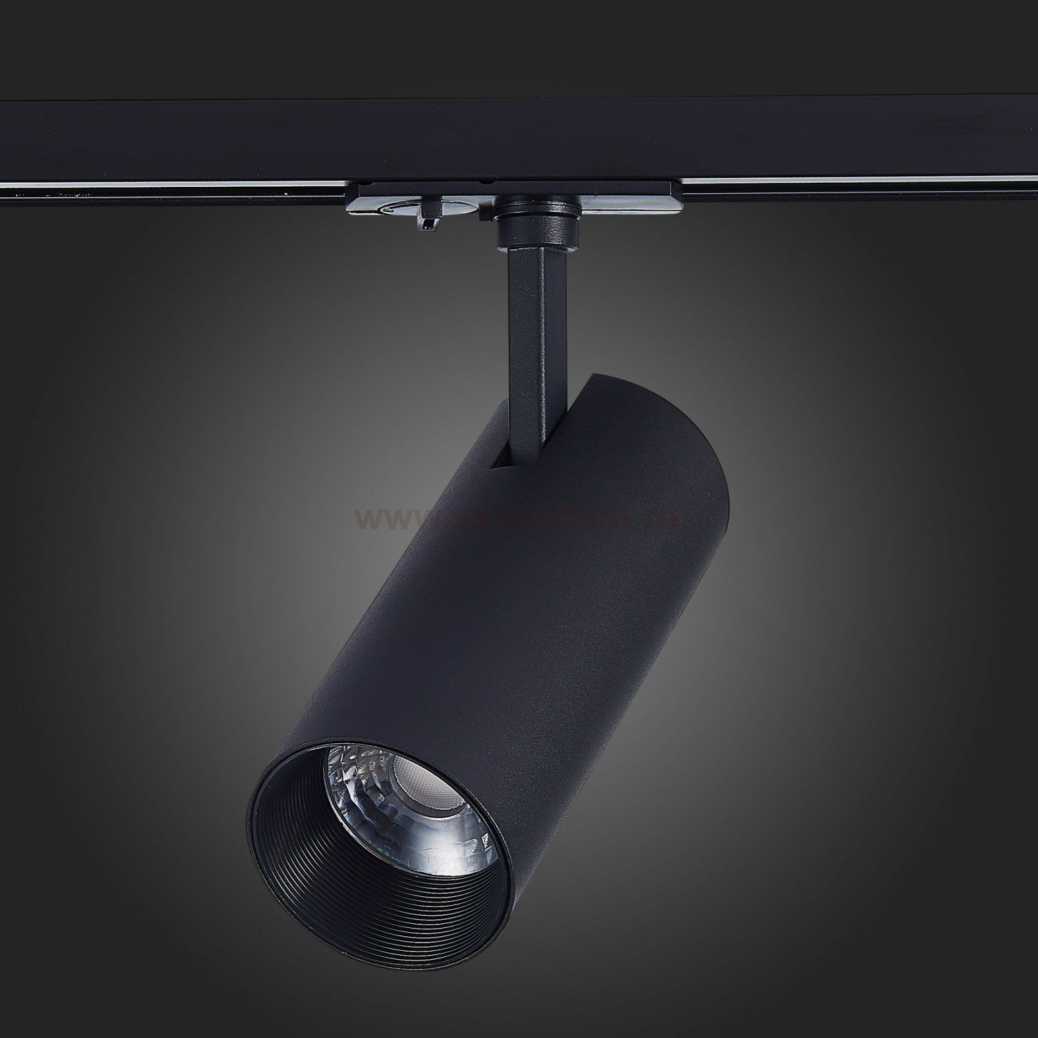 Трековый светильник St luce ST350.446.20