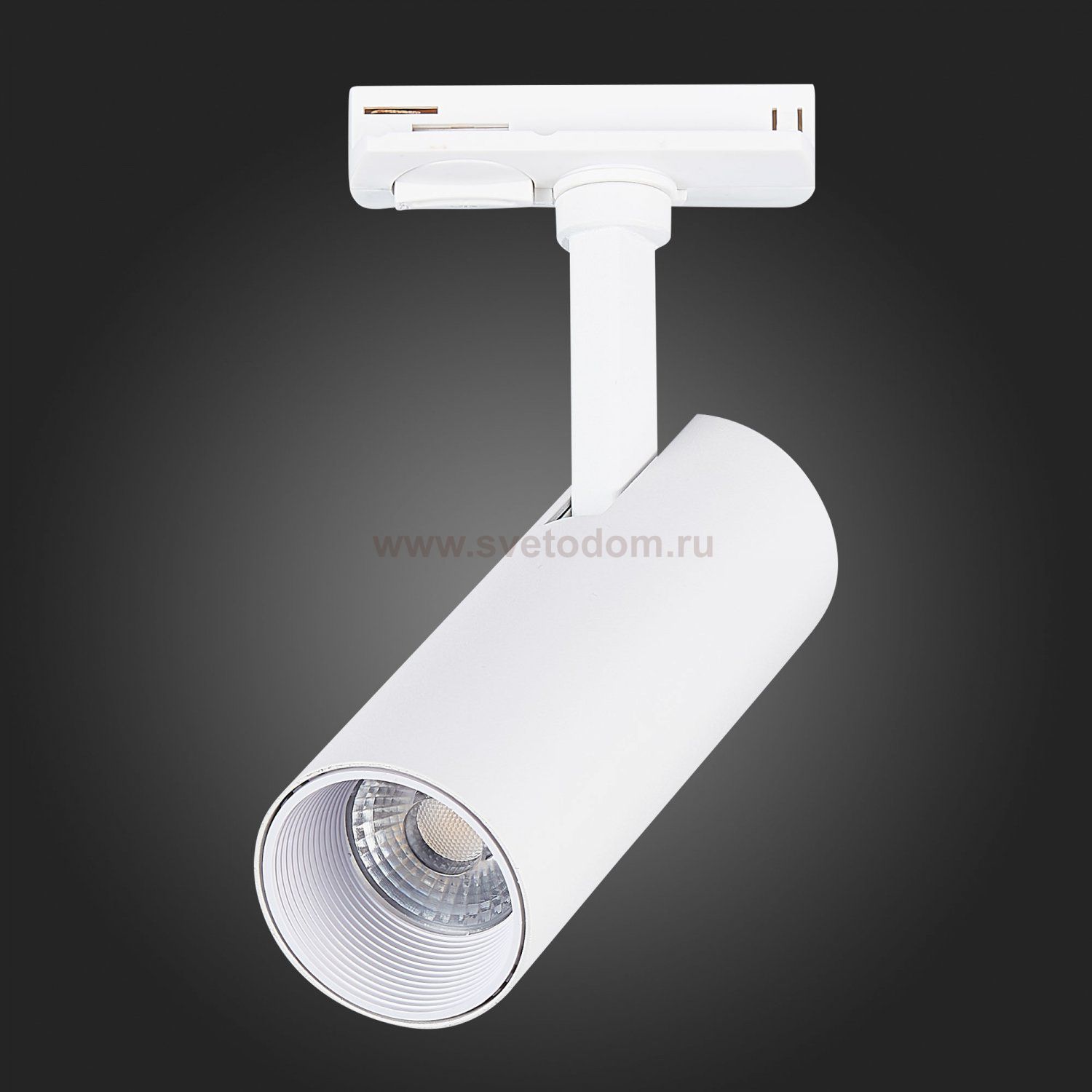 Трековый светильник St luce ST350.536.10