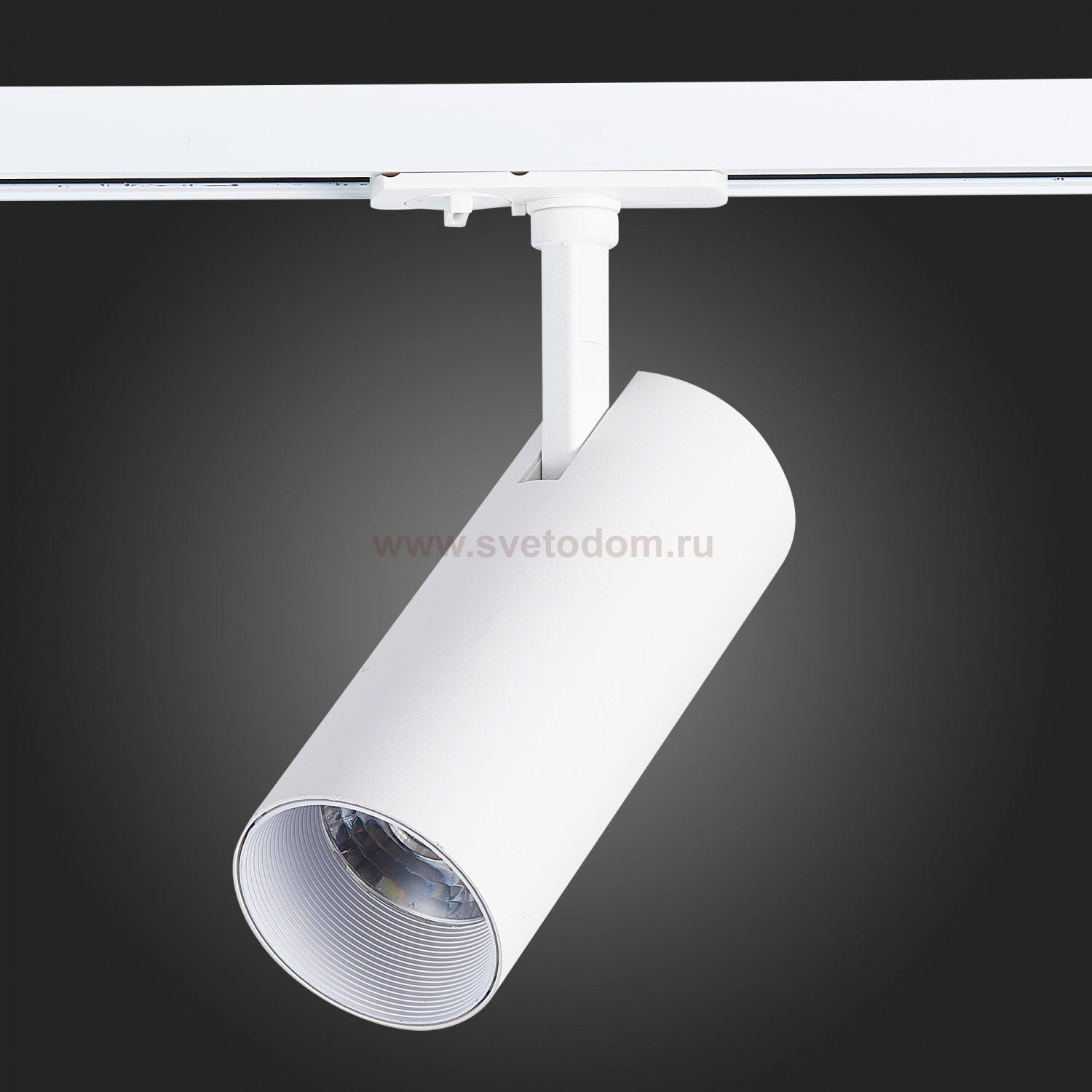 Трековый светильник St luce ST350.536.15