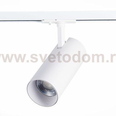 Трековый светильник St luce ST350.536.30