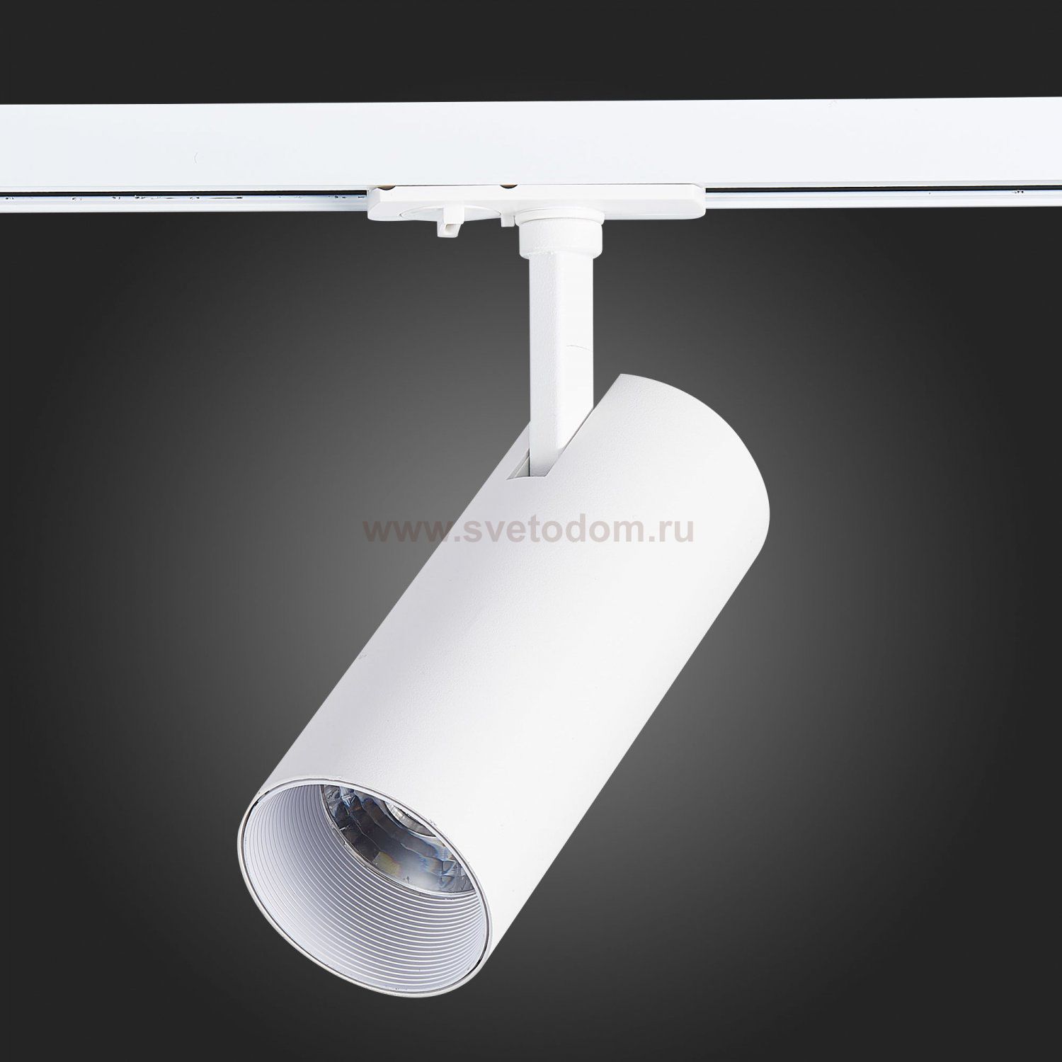 Трековый светильник St luce ST350.546.15