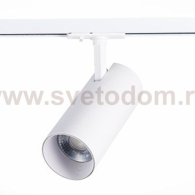 Трековый светильник St luce ST350.546.20.24 MONO