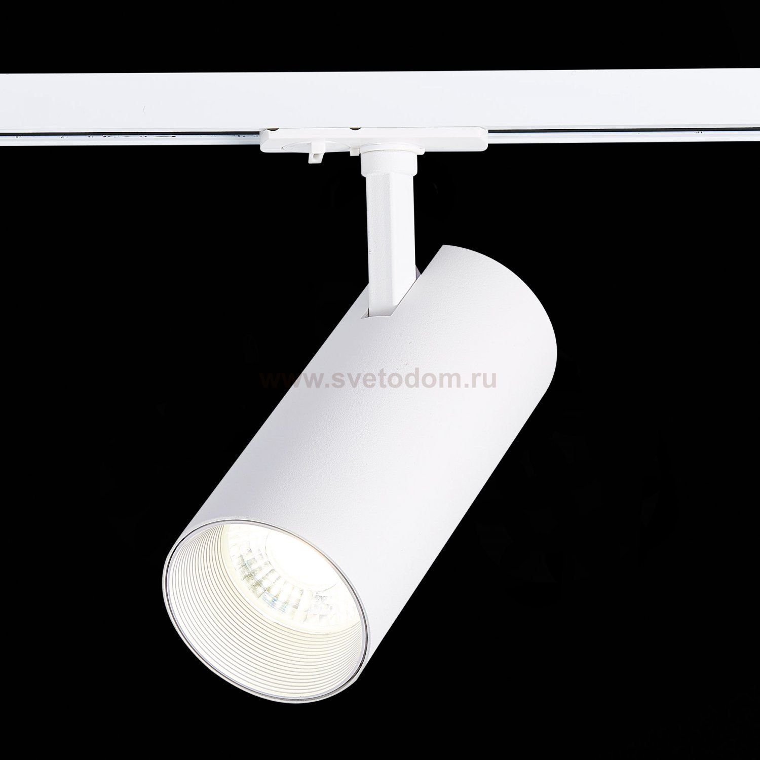 Трековый светильник St luce ST350.546.20.24 MONO