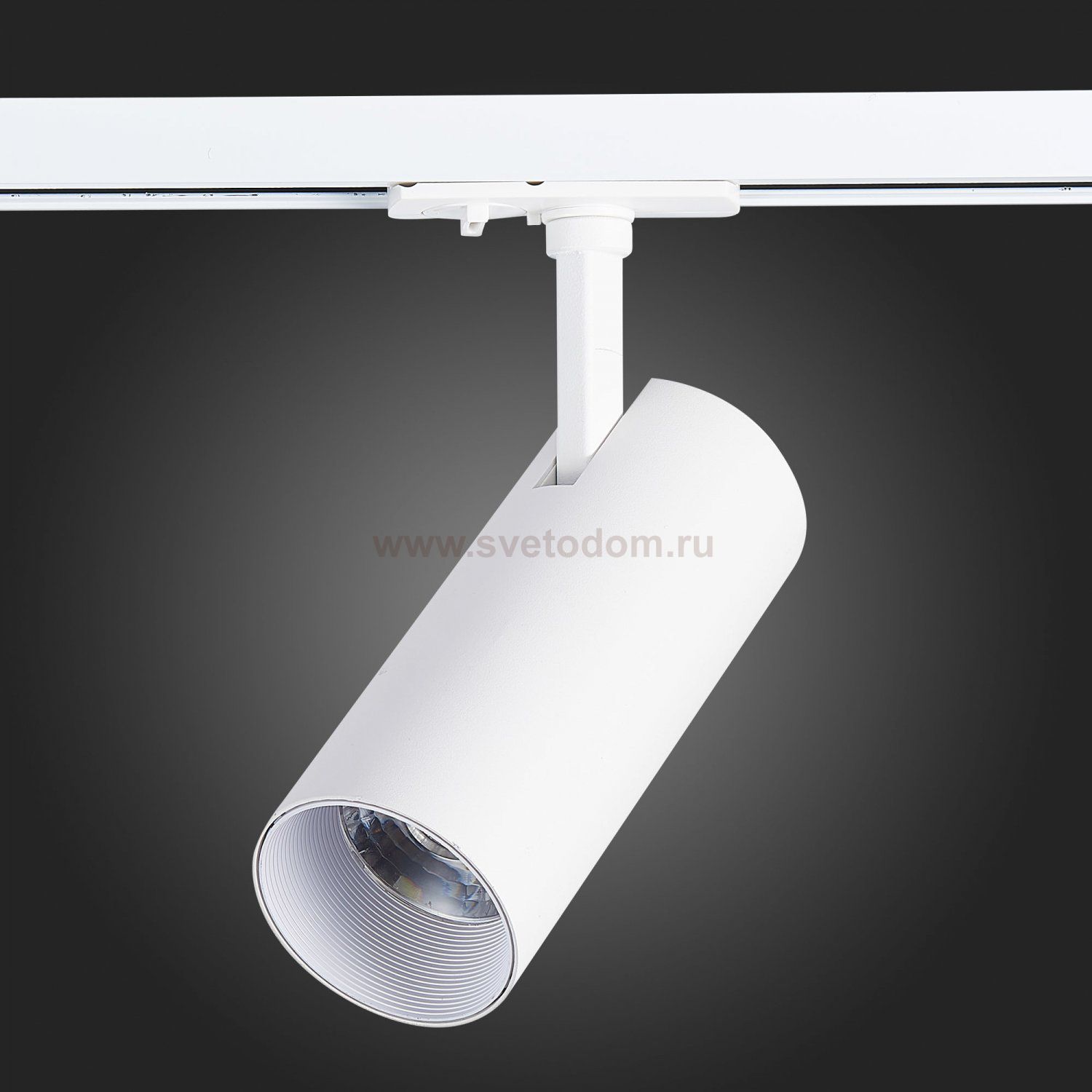 Трековый светильник St luce ST350.546.20