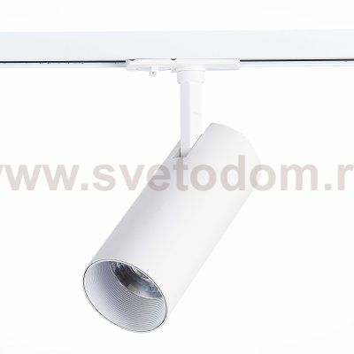 Трековый светильник St luce ST350.546.20