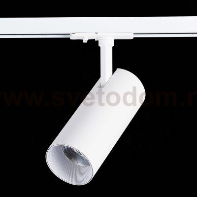 Трековый светильник St luce ST350.546.20