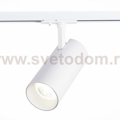 Трековый светильник St luce ST350.546.30
