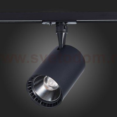 Трековый светильник St luce ST351.436.20