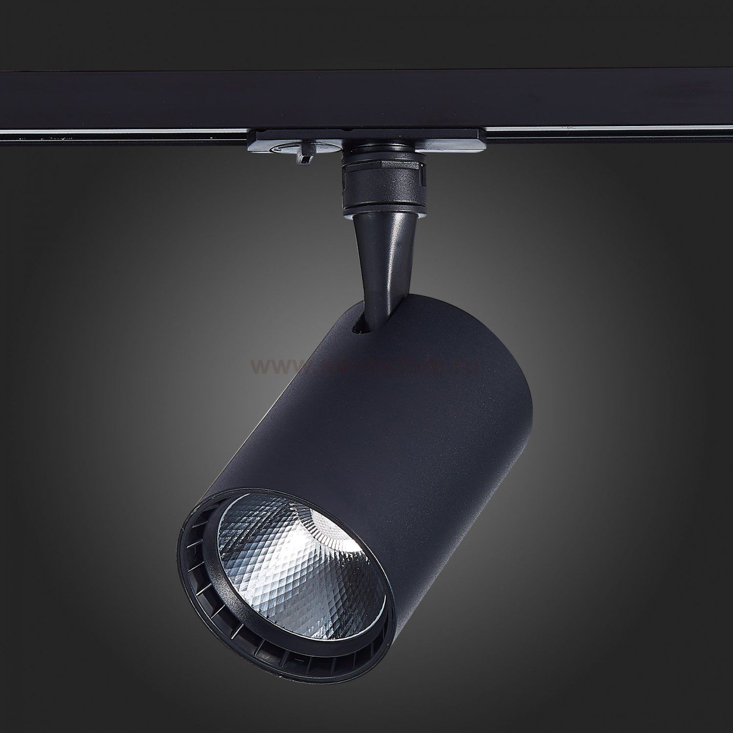 Трековый светильник St luce ST351.446.20.36 CAMI