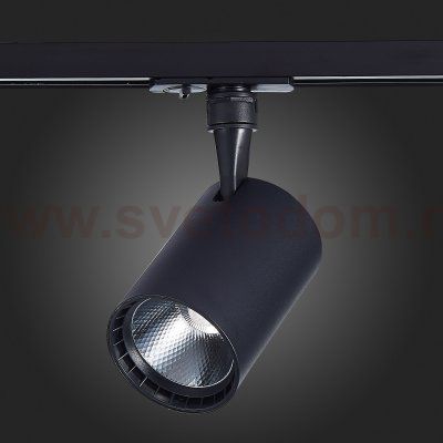 Трековый светильник St luce ST351.446.20.36 CAMI