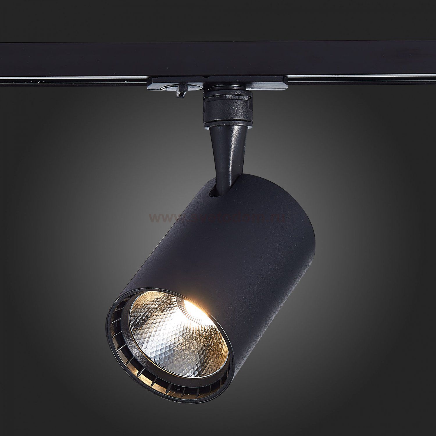 Трековый светильник St luce ST351.446.30.24 CAMI