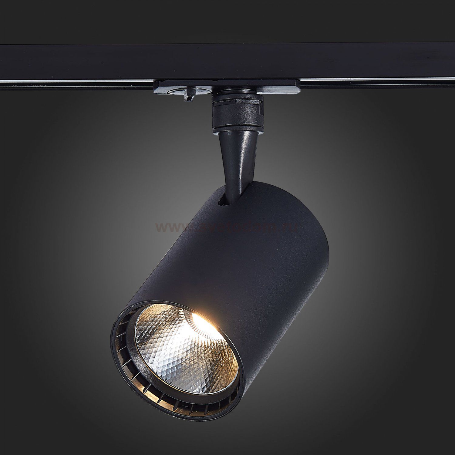 Трековый светильник St luce ST351.446.30