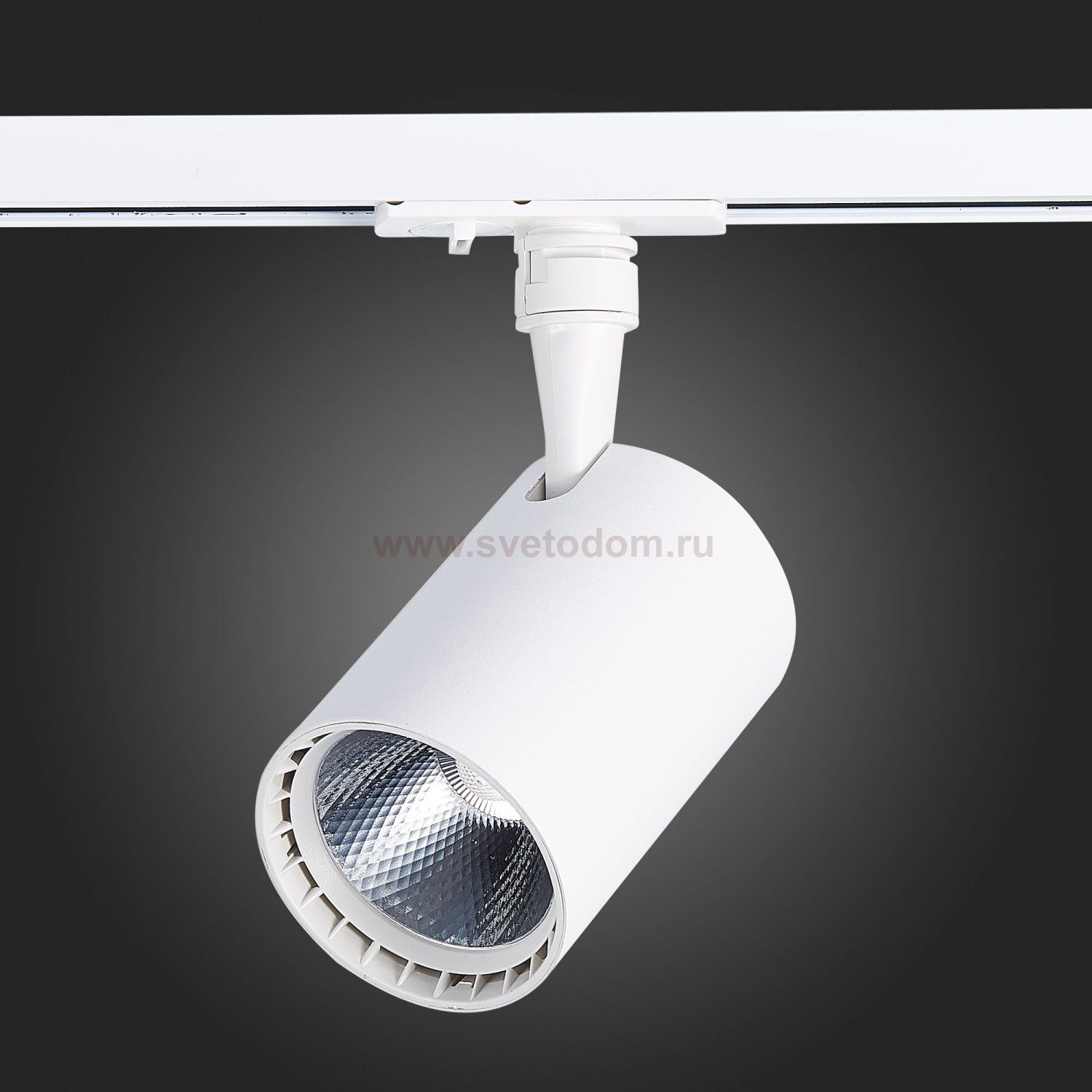 Трековый светильник St luce ST351.546.10.24 CAMI