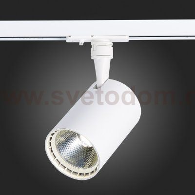 Трековый светильник St luce ST351.546.10.24 CAMI