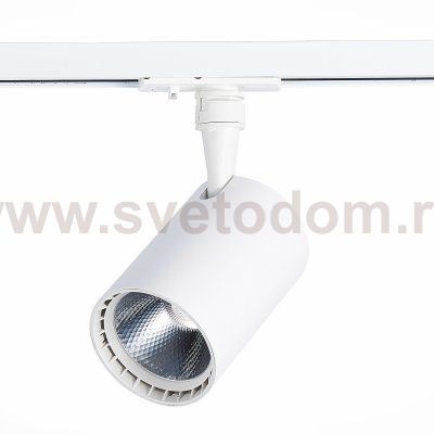 Трековый светильник St luce ST351.546.20