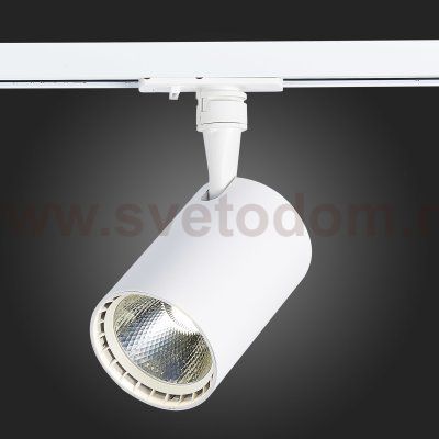 Трековый светильник St luce ST351.546.20