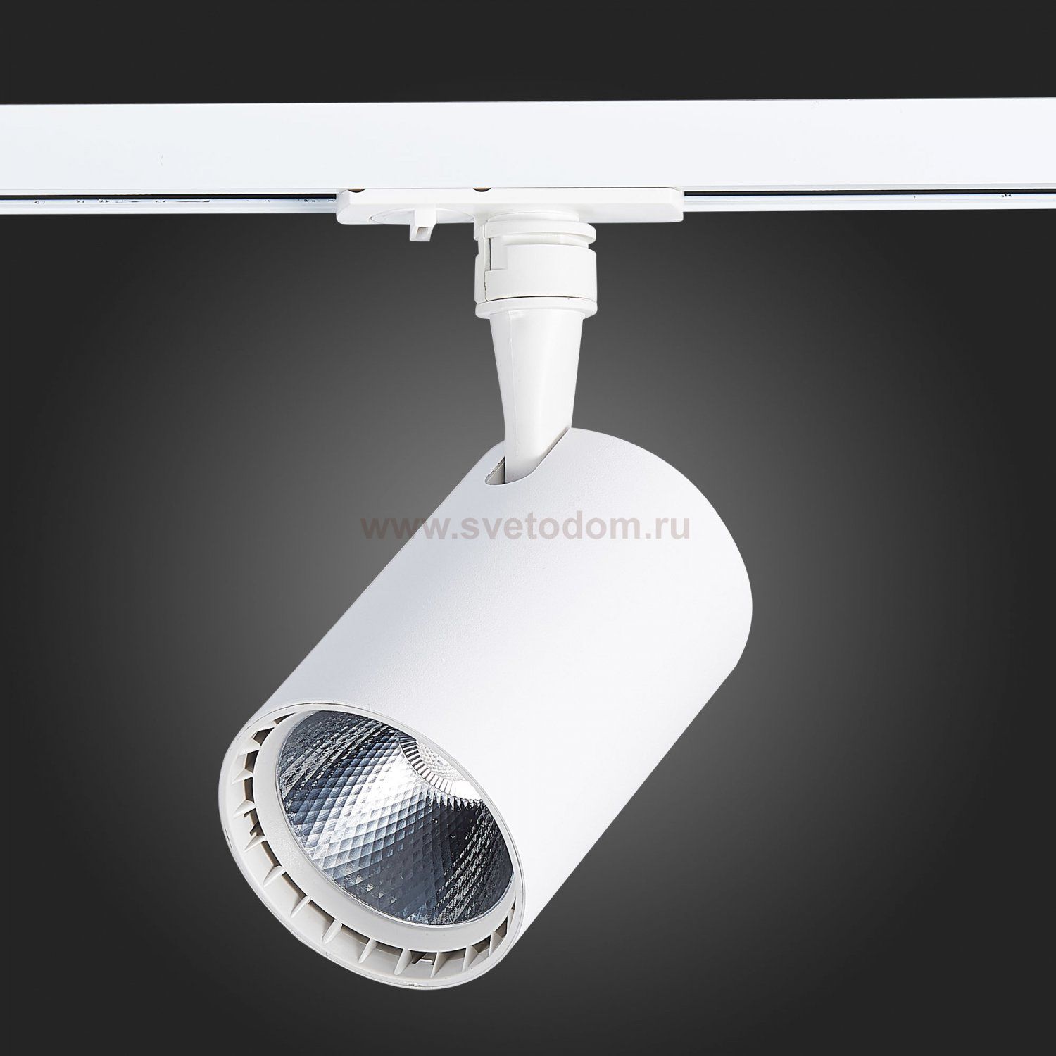 Трековый светильник St luce ST351.546.20