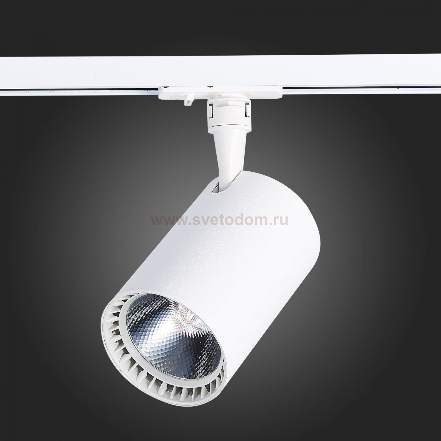 Трековый светильник St luce ST351.546.30.36 CAMI