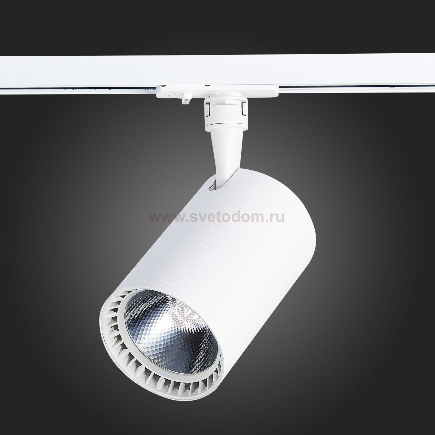 Трековый светильник St luce ST351.546.30