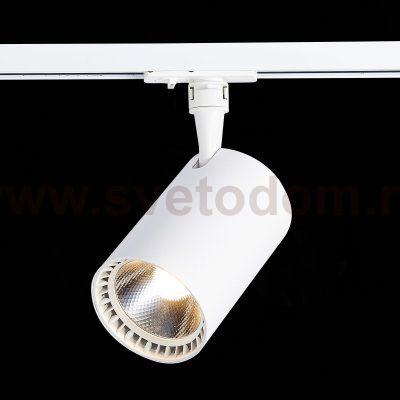 Трековый светильник St luce ST351.546.30