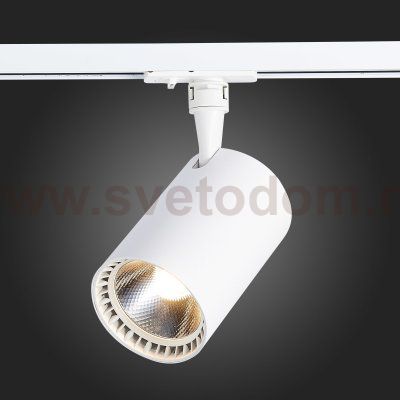 Трековый светильник St luce ST351.546.30