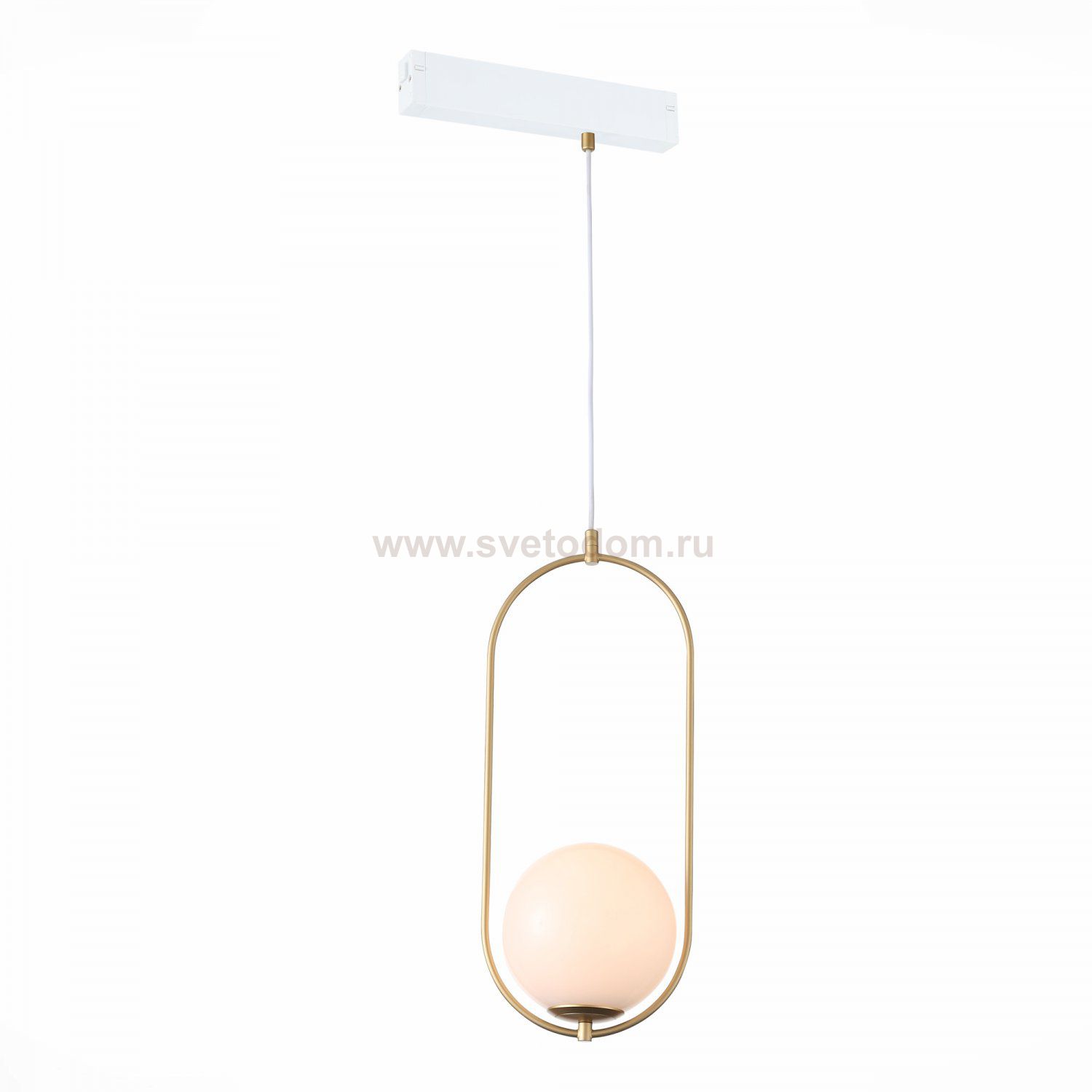 Трековый светильник St luce ST500.203.01 ST500