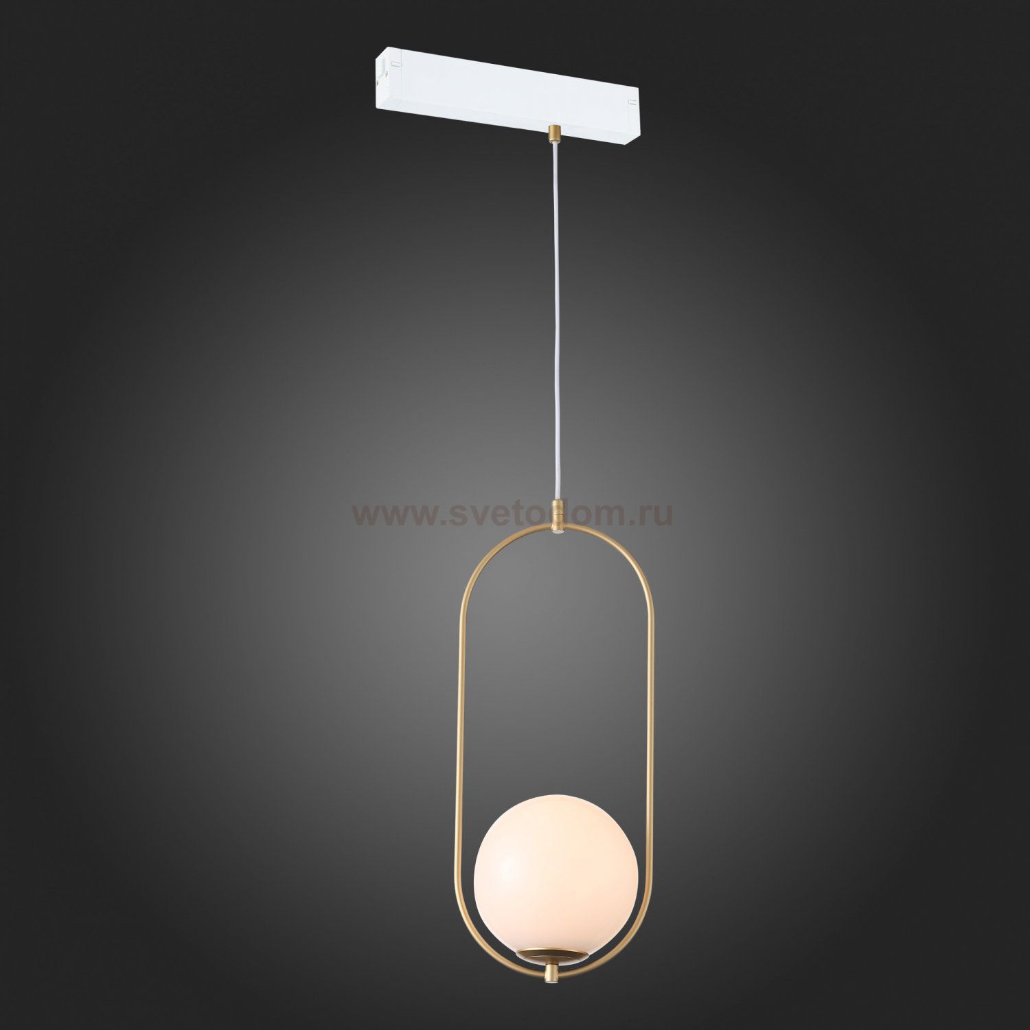 Трековый светильник St luce ST500.203.01 ST500