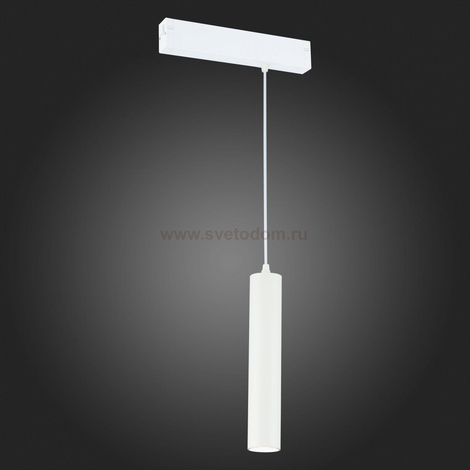 Трековый светильник St luce ST507.503.01 ST507