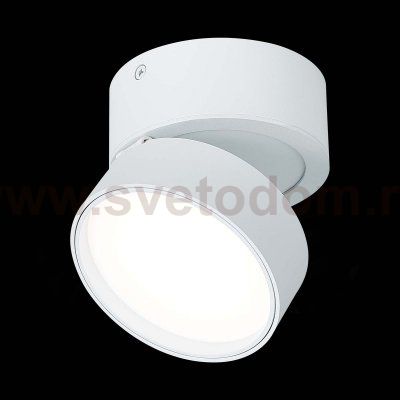 Светильник потолочный поворотный St luce ST651.542.14 ST651