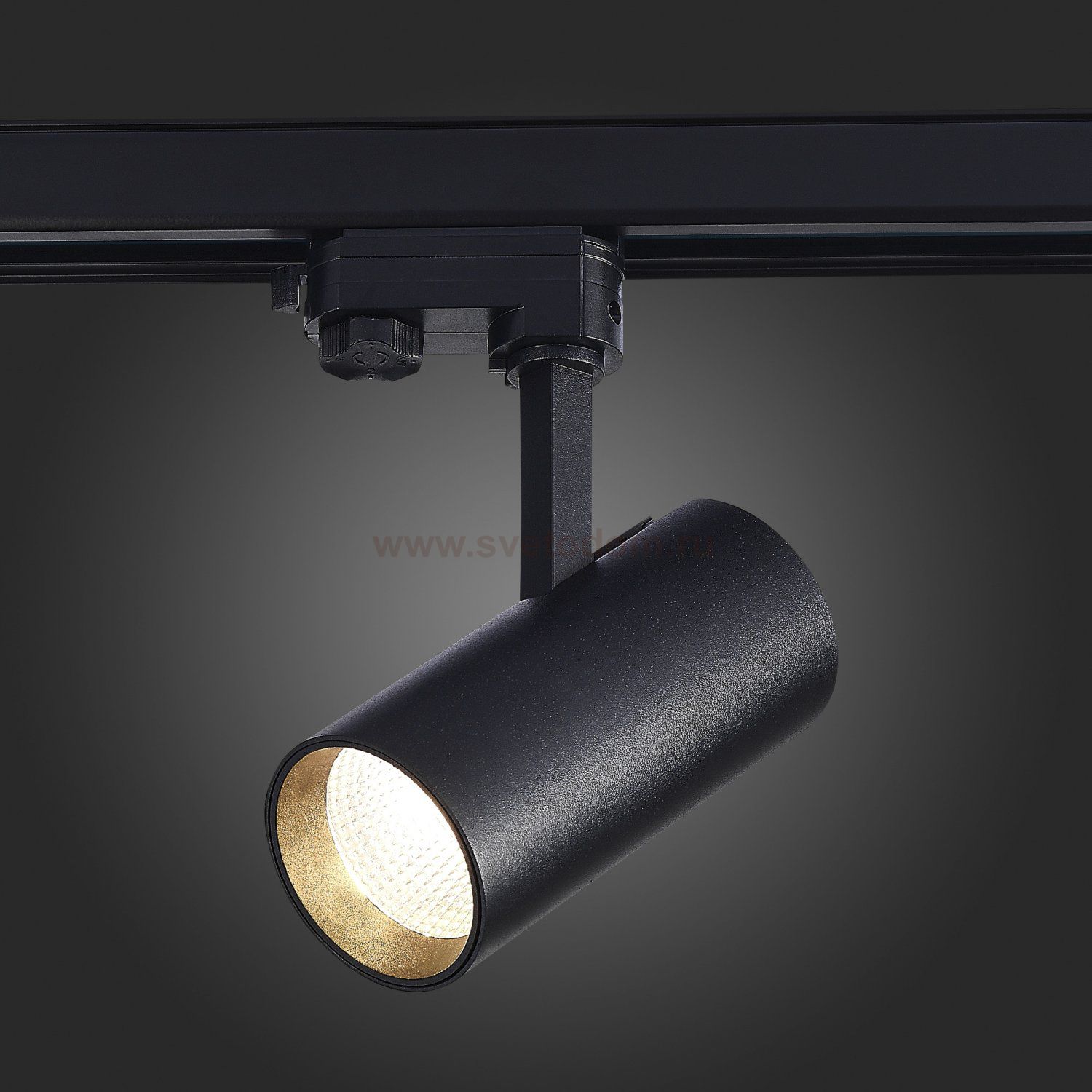 Трековый светильник St luce ST661.436.20 ST661
