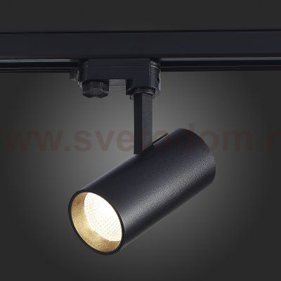 Трековый светильник St luce ST661.436.20 ST661