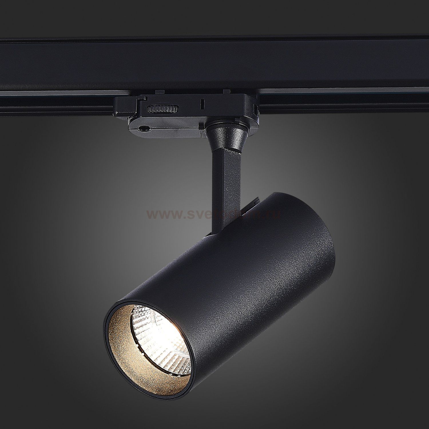 Трековый светильник St luce ST661.446.10 ST661