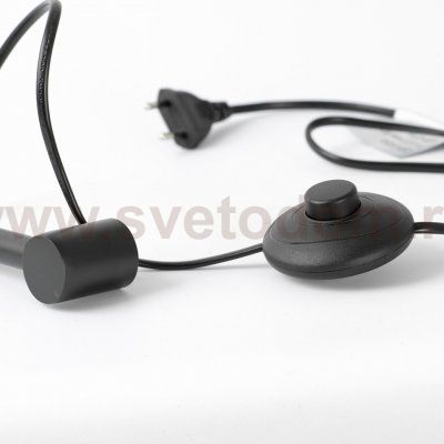 Торшер Люссоле SY8170