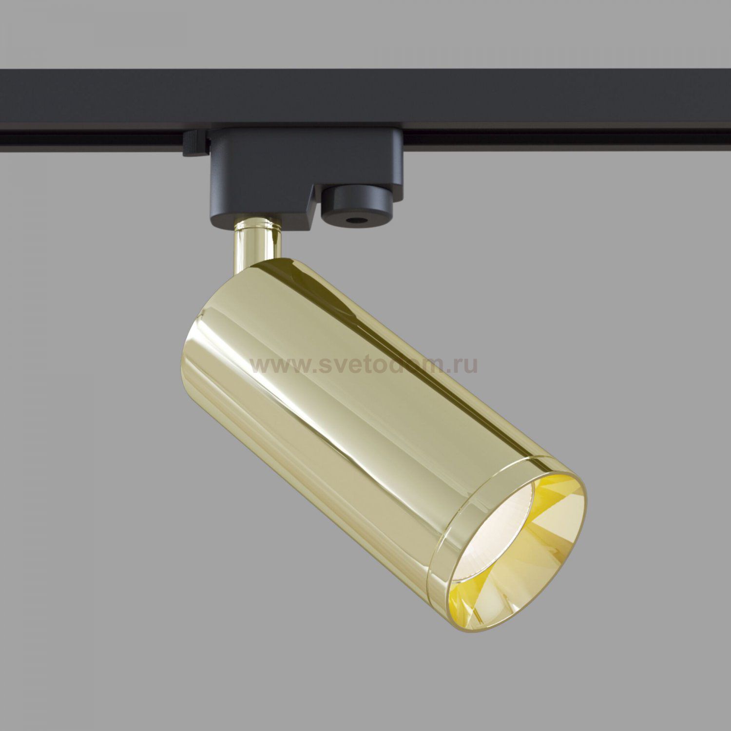 Трековый светильник Maytoni TR004-1-GU10-G Focus