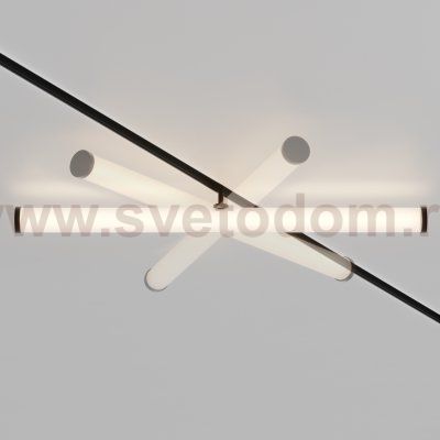 Трековый светильник Maytoni TR086-2-25W3K-W Larc