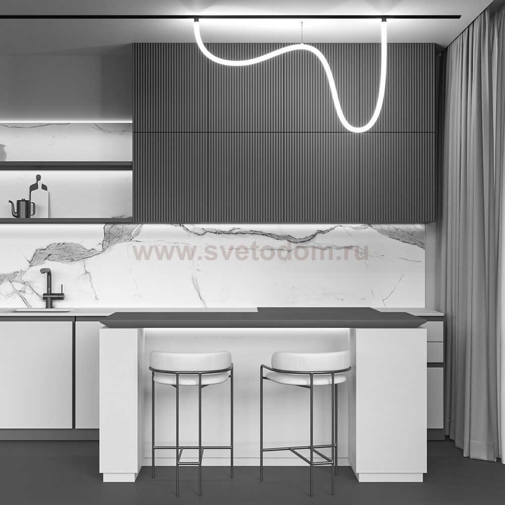 Трековый подвесной светильник Maytoni TR101-2-50W3K-B Tau