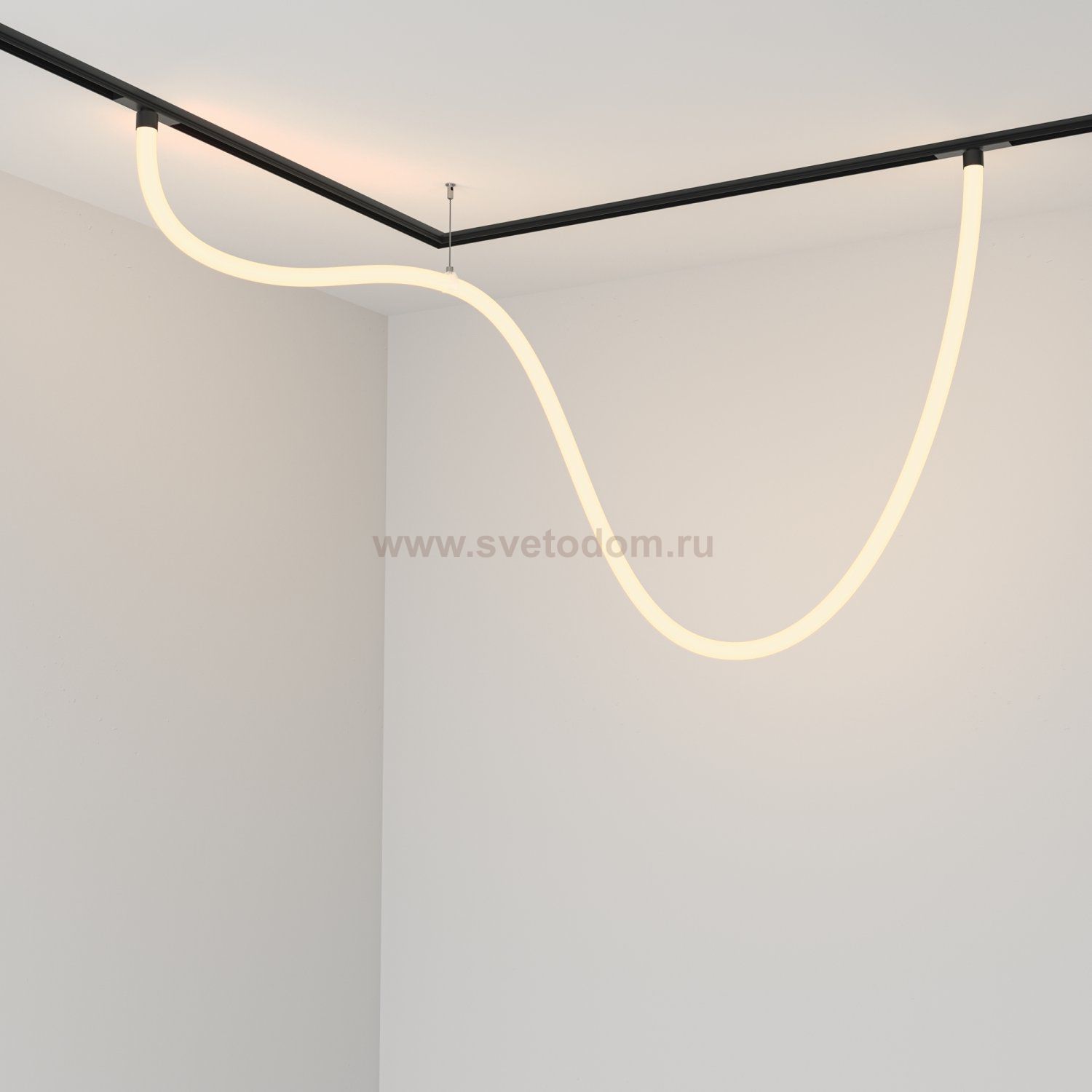 Трековый подвесной светильник Maytoni TR101-2-50W3K-B Tau