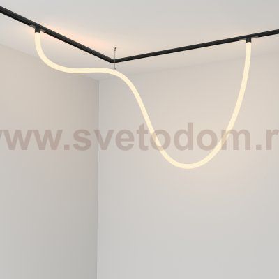 Трековый подвесной светильник Maytoni TR101-2-50W3K-B Tau