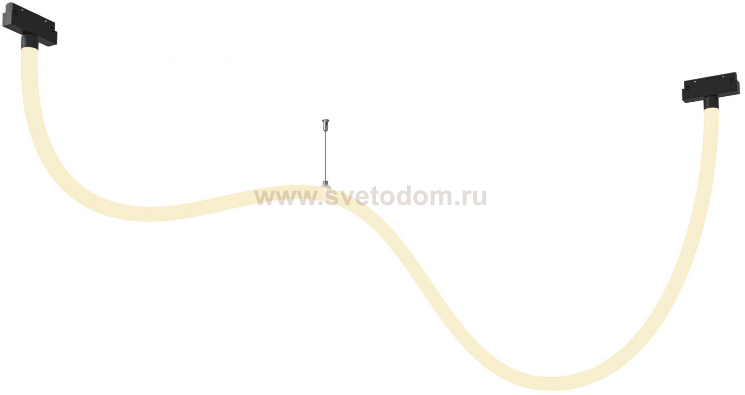 Трековый подвесной светильник Maytoni TR101-2-50W3K-B Tau