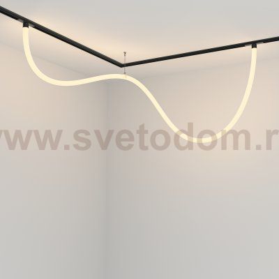 Трековый подвесной светильник Maytoni TR101-2-50W3K-B Tau