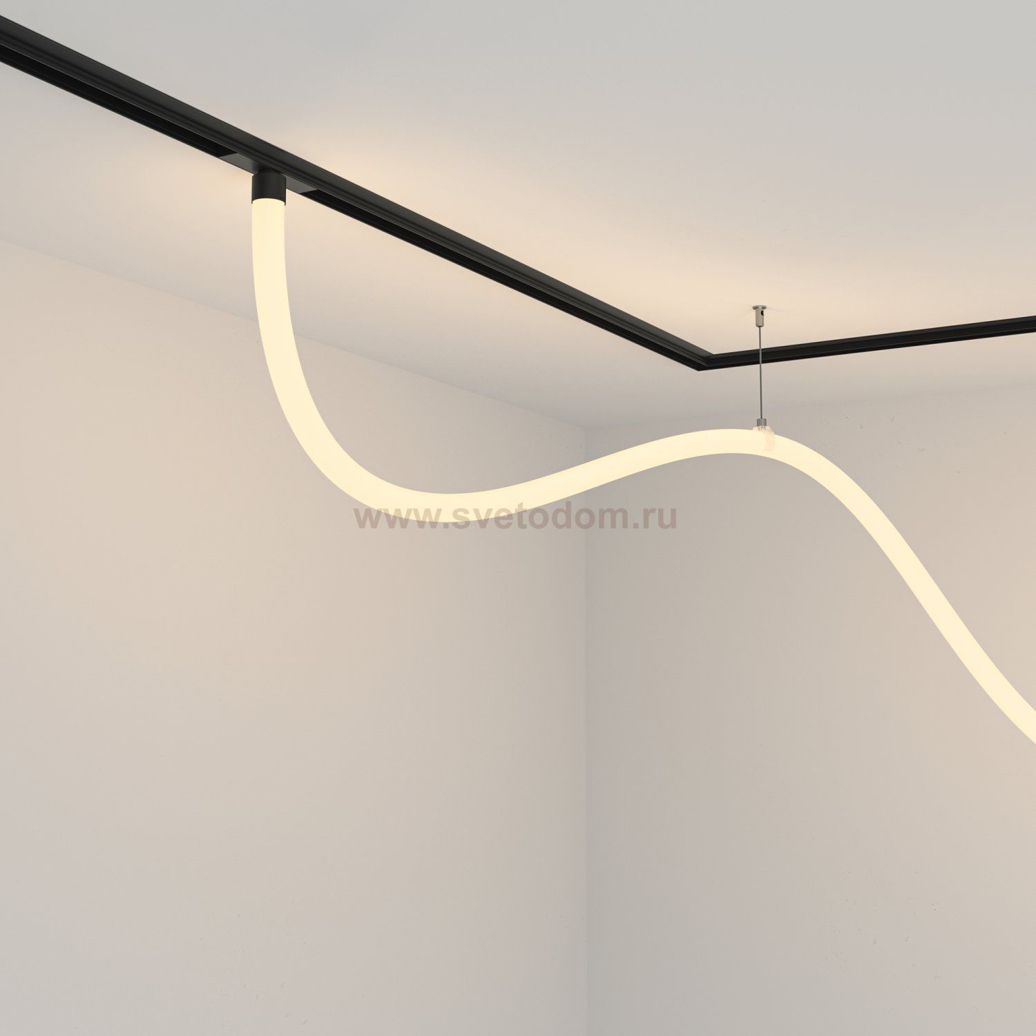 Трековый подвесной светильник Maytoni TR101-2-50W3K-B Tau