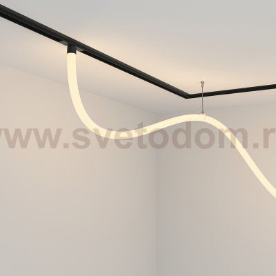 Трековый подвесной светильник Maytoni TR101-2-50W3K-B Tau