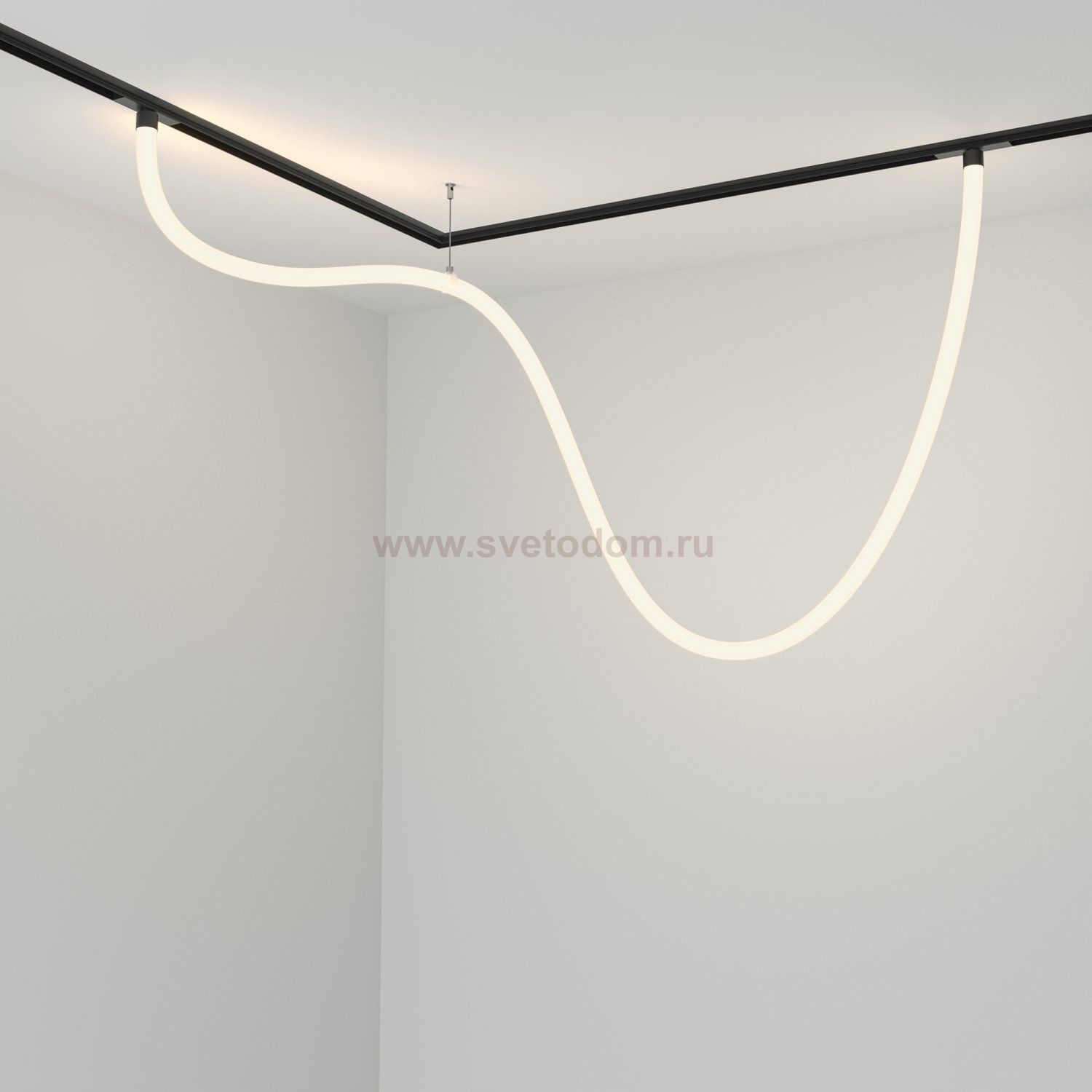 Трековый подвесной светильник Maytoni TR101-2-50W4K-B Tau